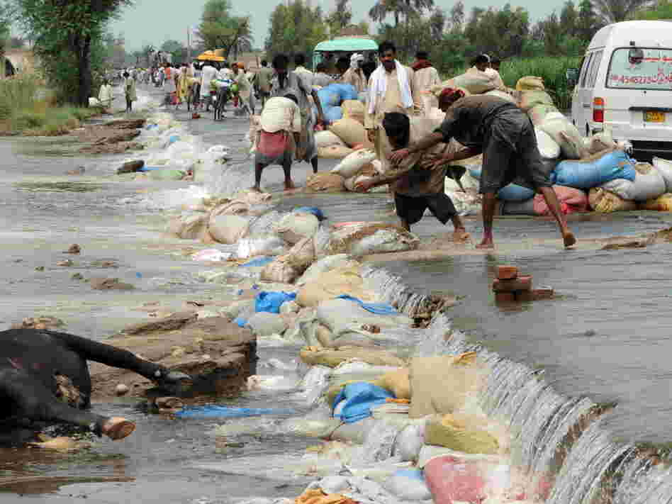 Pakistani villagers lay sandbags. Pakistani villagers lay sandbags.