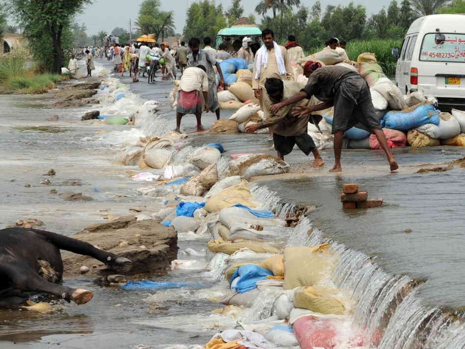 Pakistani villagers lay sandbags. Pakistani villagers lay sandbags.
