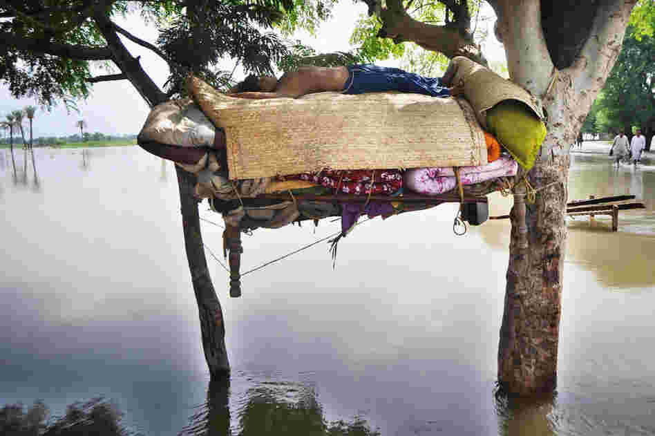 A flood survivor sleeps on a hammock Aug. 13 in Shah Jamal village. 