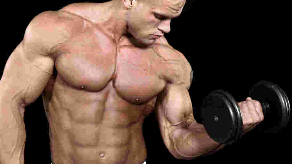 build musccle now