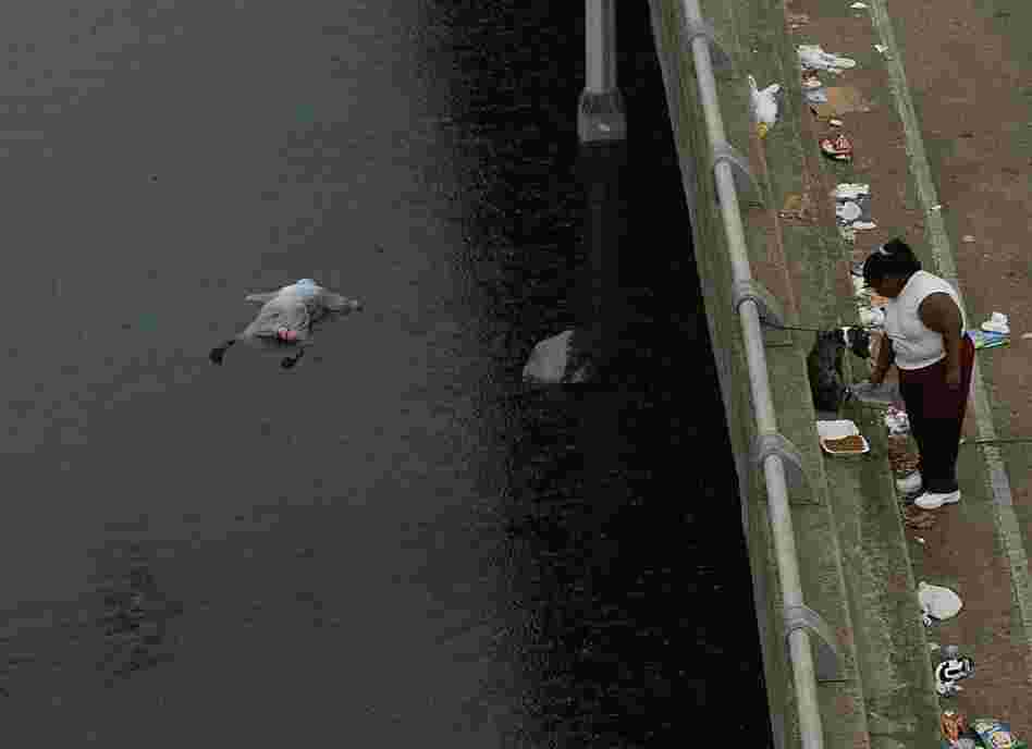 A body floats in the floodwaters of New Orleans in the aftermath of Hurricane Katrina on Sept. 1, 2005. 