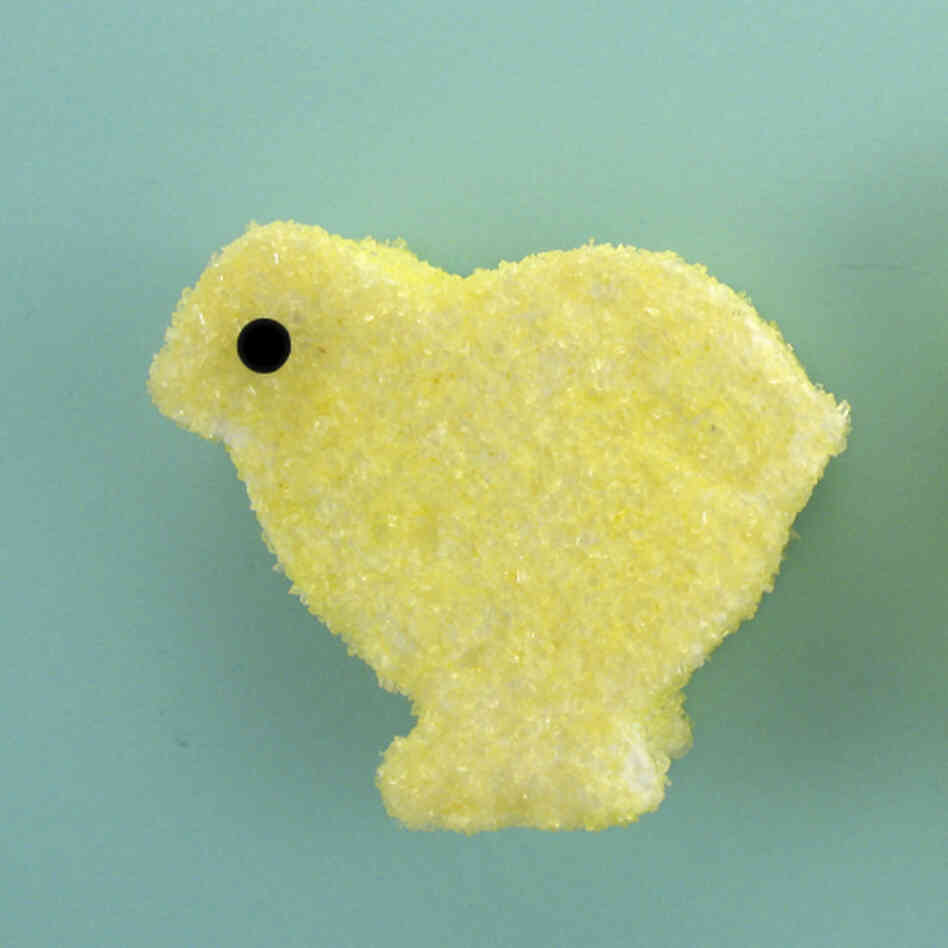 marshmallow bunny and chick marshmallow bunny and chick