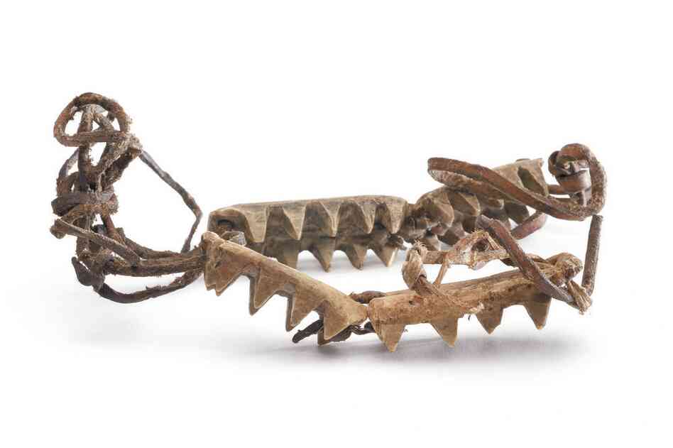 St. Lawrence Island Yupik ice grippers. These ivory spikes were worn with skin boots to prevent slipping on ice. Cleats of this type were invented at least 2,000 years ago and have been found in sites of the Old Bering Sea.