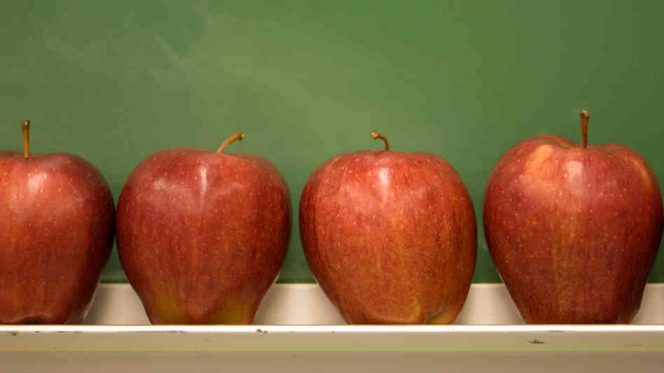 NPR's 'Tell Me More' kicks off its September back-to-school education series. NPR's 'Tell Me More' kicks off its September back-to-school education series.
