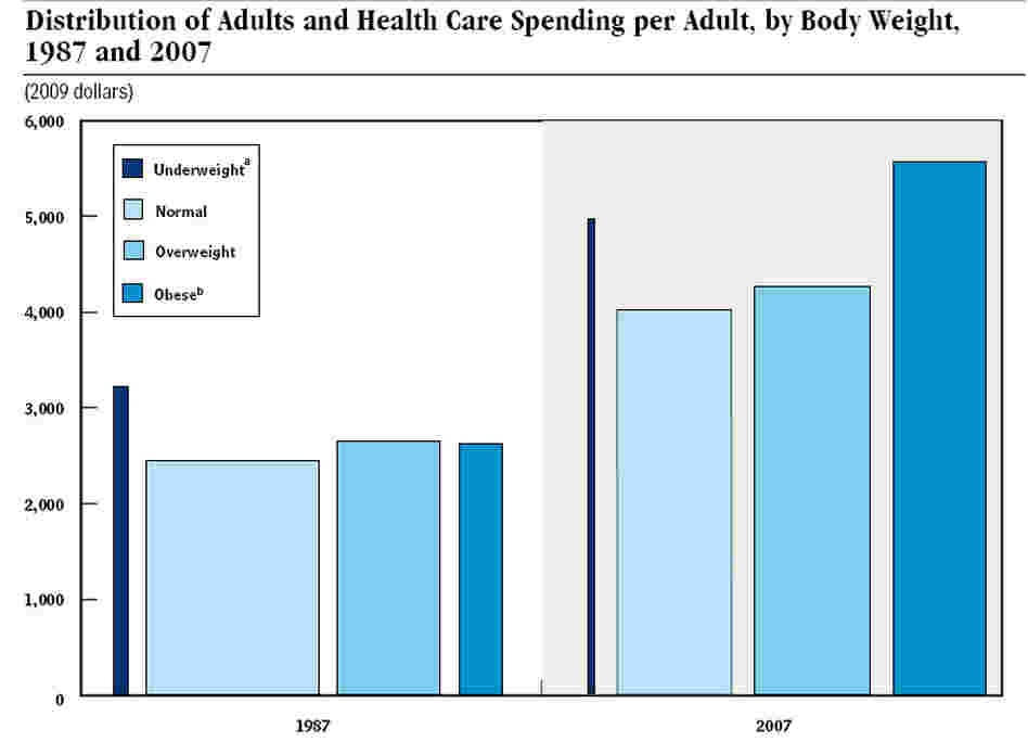 Cost of Obesity