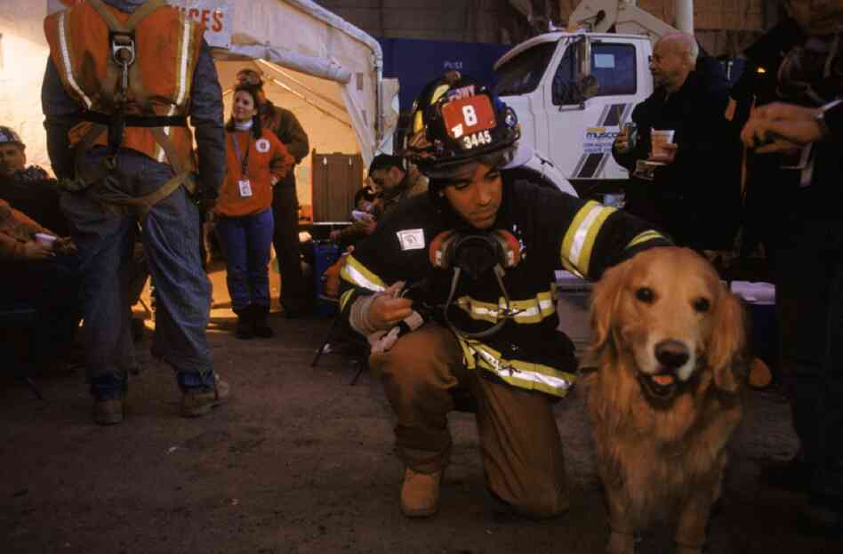 Nikie, a therapy dog from the K-9 Disaster Relief organization, with a fireman from Ladder Company 8, Tribeca, New York City