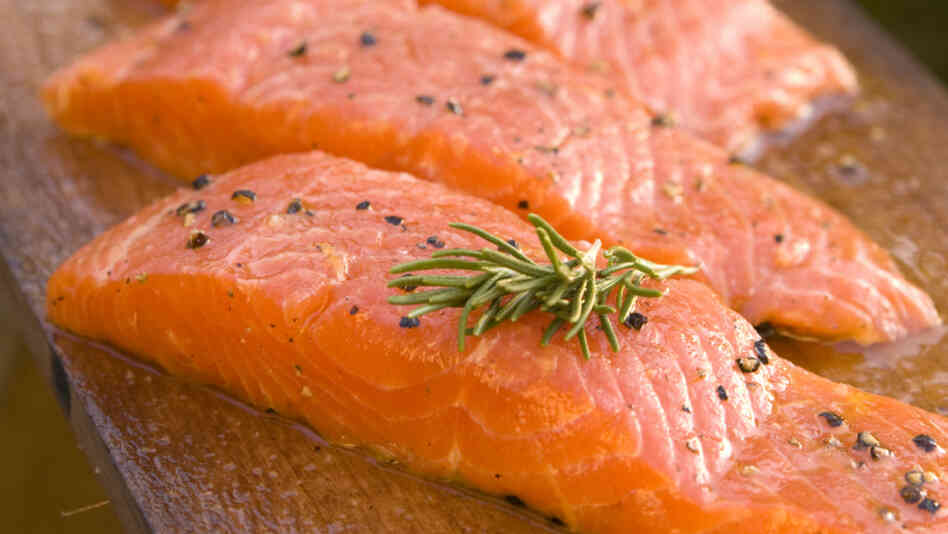 salmon fillets salmon fillets