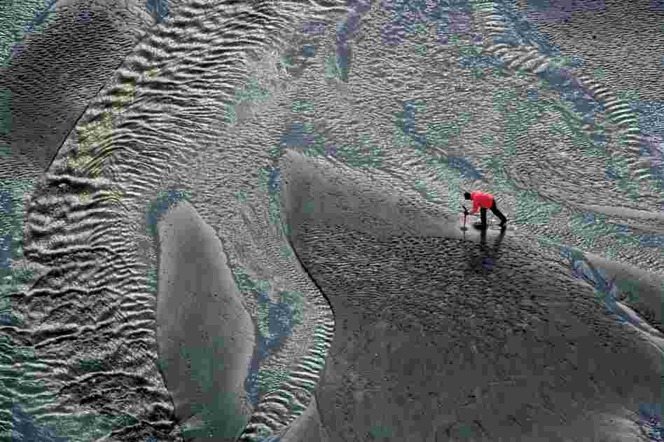 A clam digger pokes along Cook Inlet in Clam Gulch, Alaska.