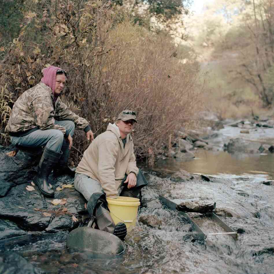 Prospectors Rich and Elizabeth Rang sluice materials on the Stanislaus River, Columbia, Calif.