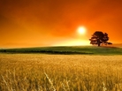 sunset sunset