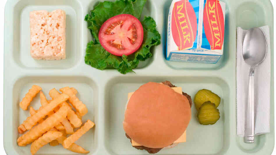 lunch tray lunch tray