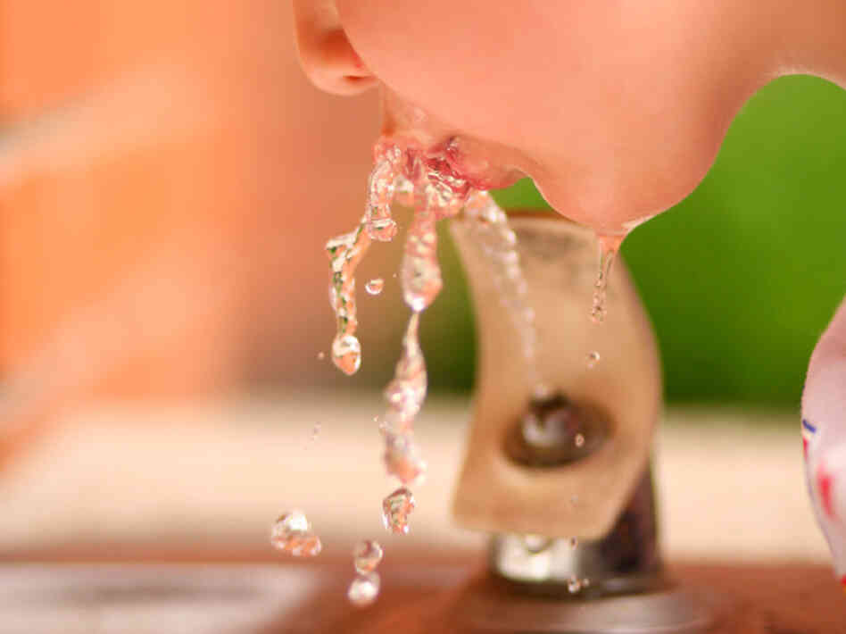 Child drinks from school water fountain.
