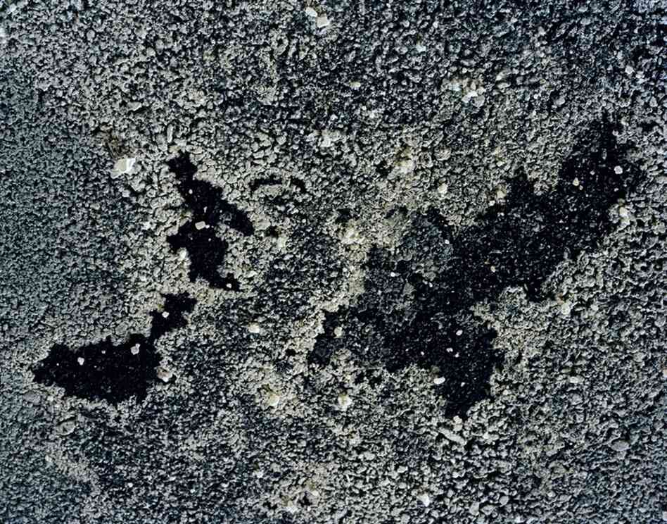 Salt Residue, Jersey City, N.J., 2009