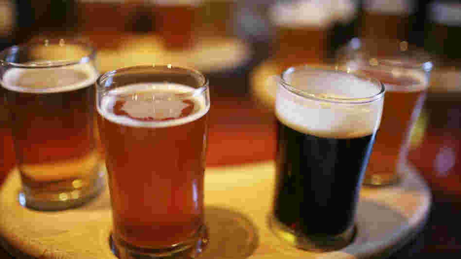 A sampling of beers, ranging in color from golden to dark brown