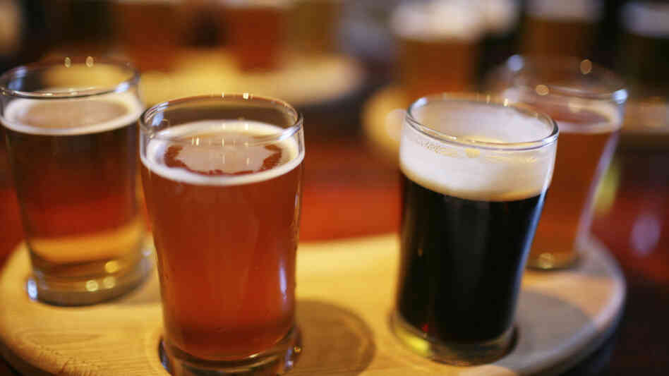 A sampling of beers, ranging in color from golden to dark brown