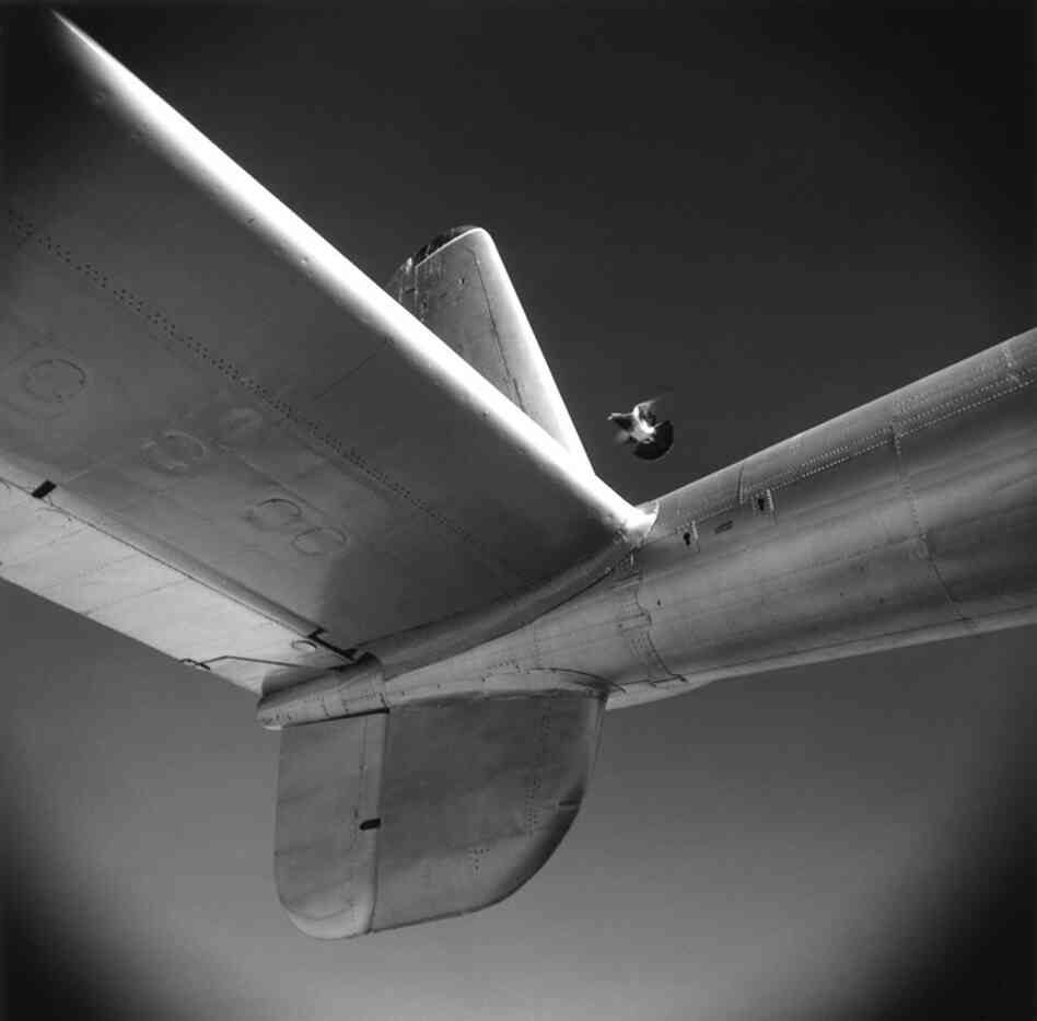 This series, as it says on his site, "explores the twin themes of hope and loss using familiar and unusual objects from the American landscape."