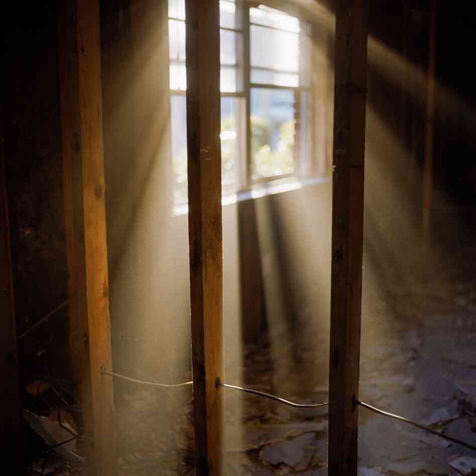 "A kind of unspoken subject matter for the projects I've worked on," he says, "is resilience."