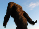 Bigfoot Bigfoot