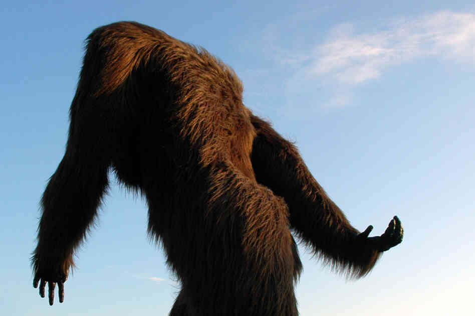 Bigfoot Bigfoot