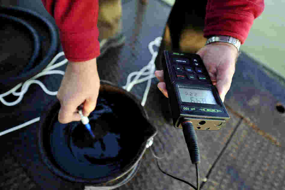 Laszlo Kiss, an official of the Hungarian environmental service,  tests a water sample from the Danube River in Komarom, Hungary, on Oct. 8. In a statement on its website, MAL Hungarian Aluminum Production and Trade Co. said that it had released $150,000 in aid money to local authorities to help deal with the disaster. 