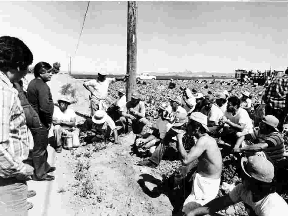 Chavez talks with farmworkers, late 1970s. 