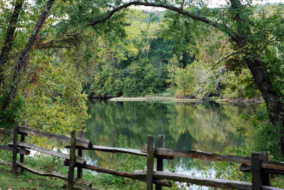 By design, driving the Blue Ridge Parkway is like taking an easy "stroll" through nature at a maximum speed of 45 mph. 