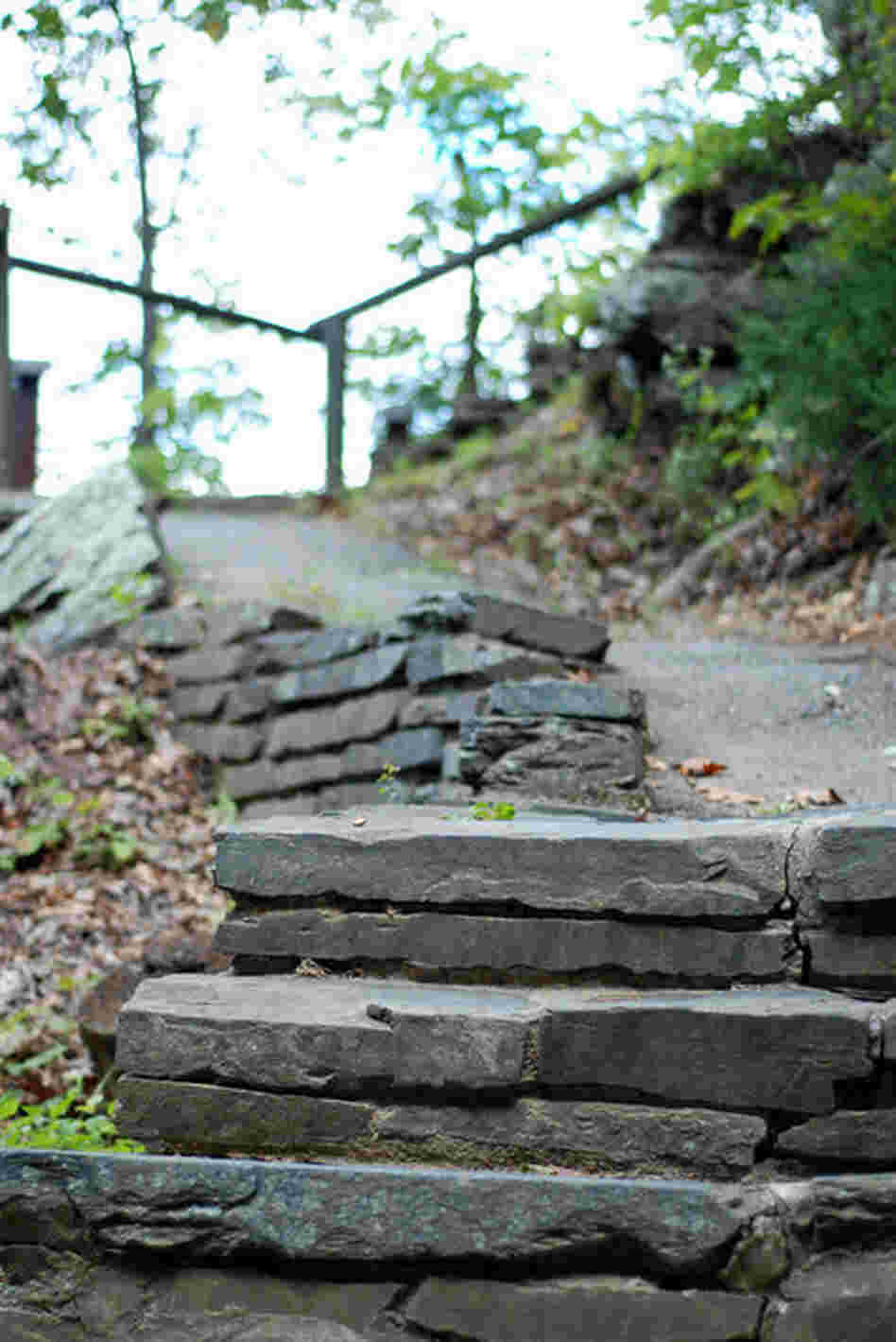 But in truth, logging and mining were among the well-established indentations in the landscape before the Parkway was built. 