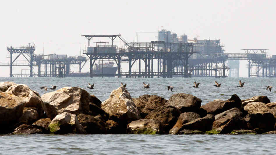 Pelicans fly past oil platforms off the coast of Port Fourchon, La. Pelicans fly past oil platforms off the coast of Port Fourchon, La.