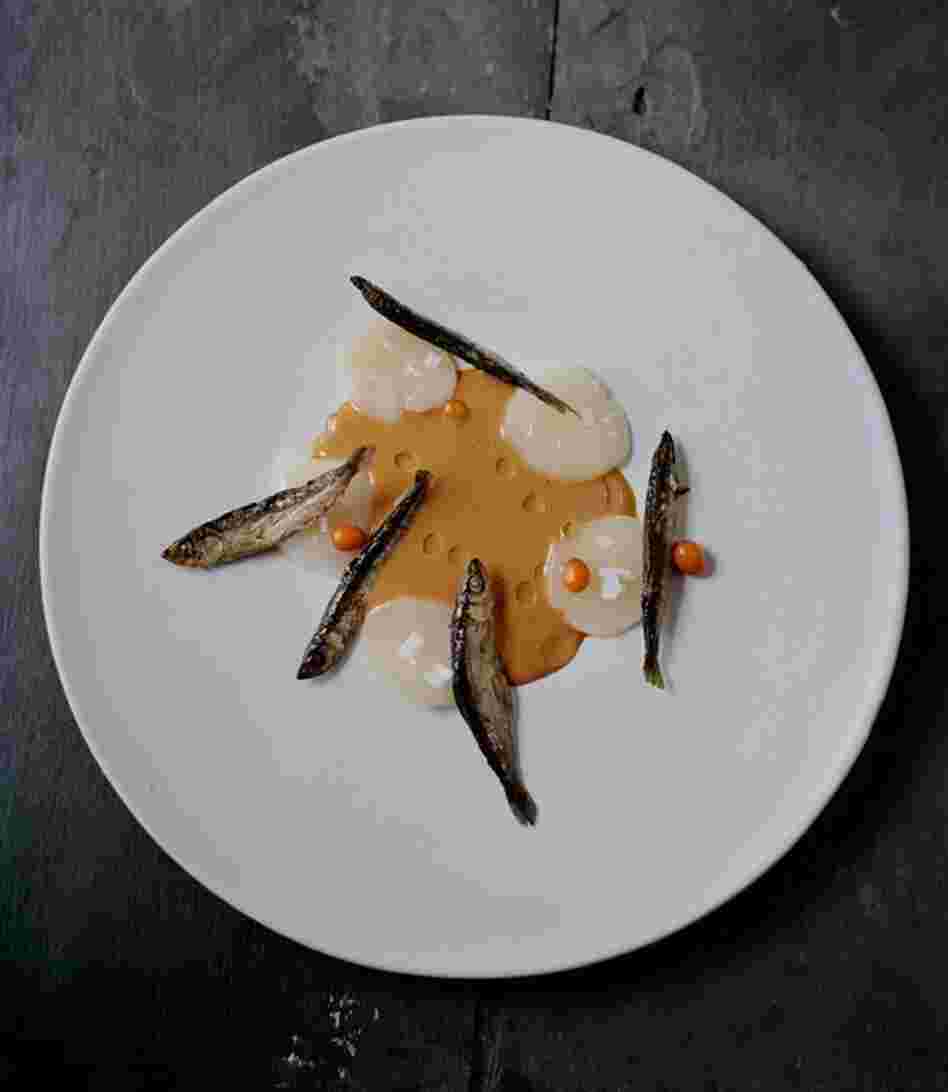 Scallops And Sea Urchins, Sea Buckthorn And Muikko: One of the simpler dishes, this one includes muikko (small smoked and pickled fish from Finland) and a puree of sea urchins.