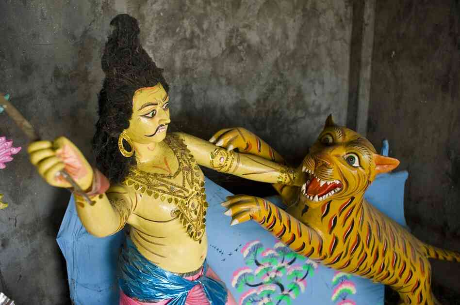 Tigers are a menace to villagers in the Sundarban region of India and Bangladesh — but are still an integral part of local culture. Traditionally, the tiger is believed to be an incarnation of a mystical demon named "Dakkhin Rai."