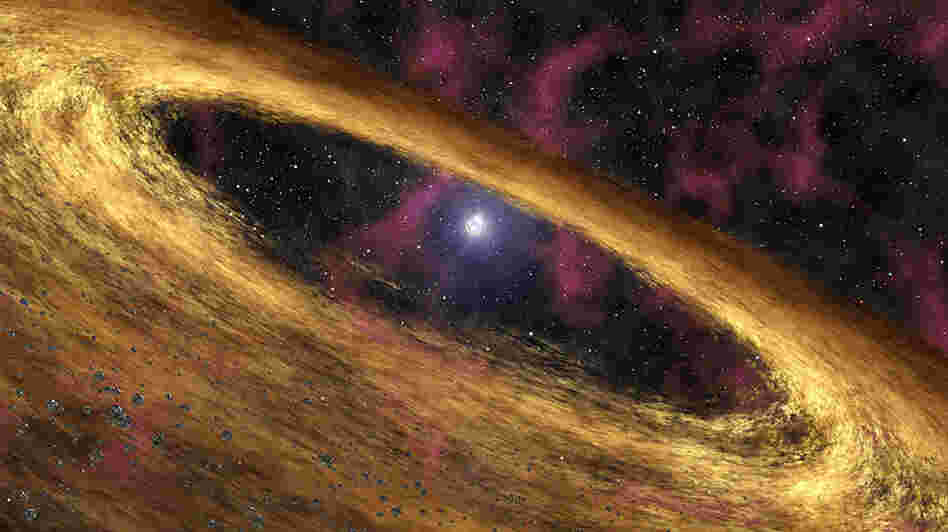 Pulsar and the surrounding disk of rubble Pulsar and the surrounding disk of rubble