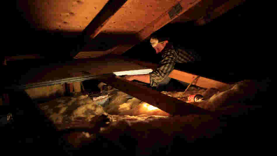 A worker with Home Energy Loss Professionals retrofits a home. A worker with Home Energy Loss Professionals retrofits a home.
