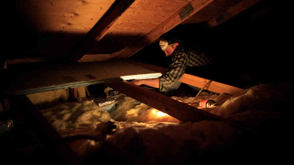 A worker with Home Energy Loss Professionals retrofits a home. A worker with Home Energy Loss Professionals retrofits a home.
