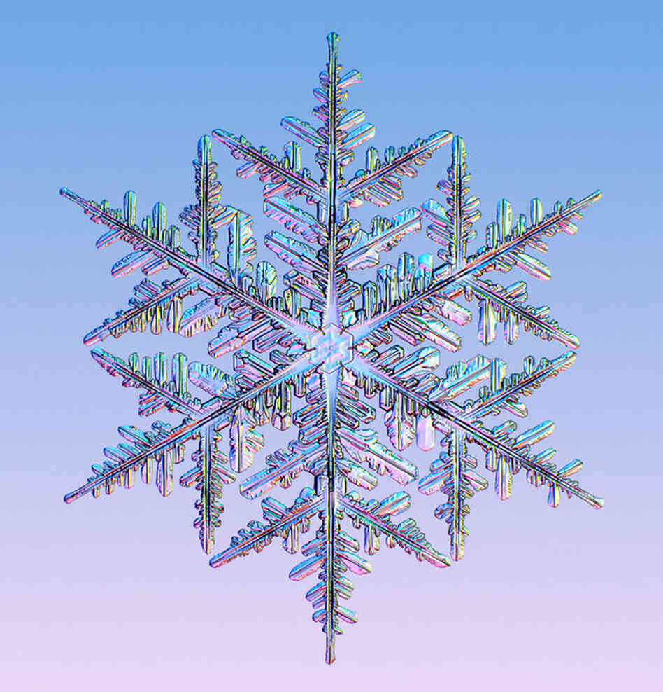 No Alternative Text