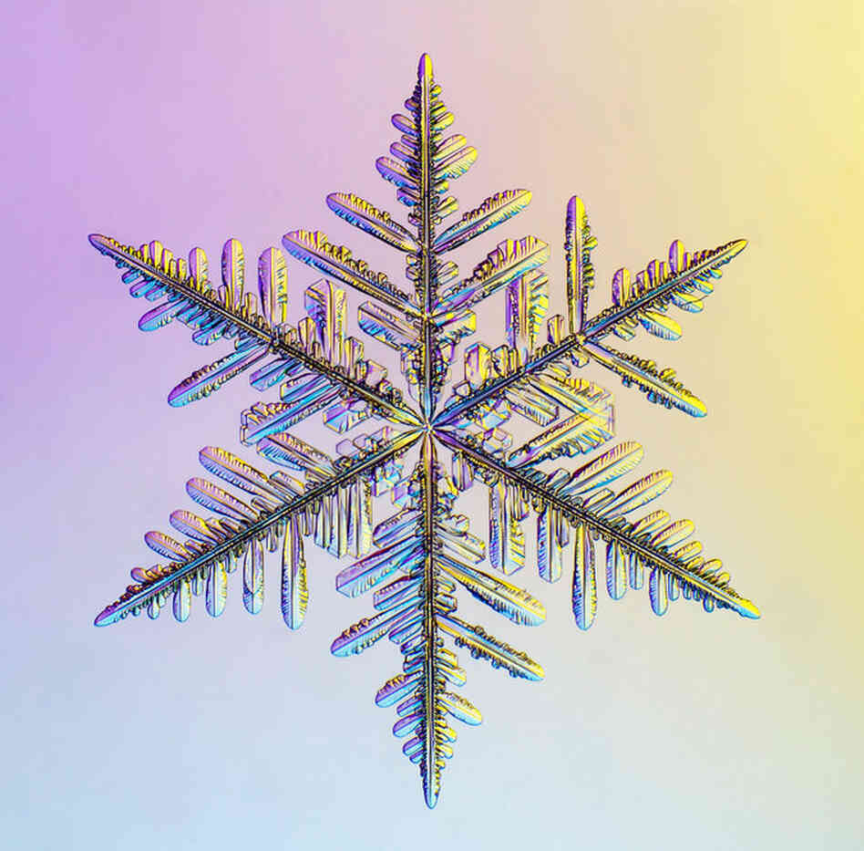 No Alternative Text
