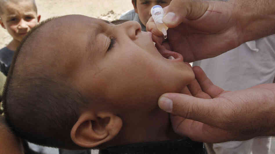 polio vaccine afghanistan polio vaccine afghanistan