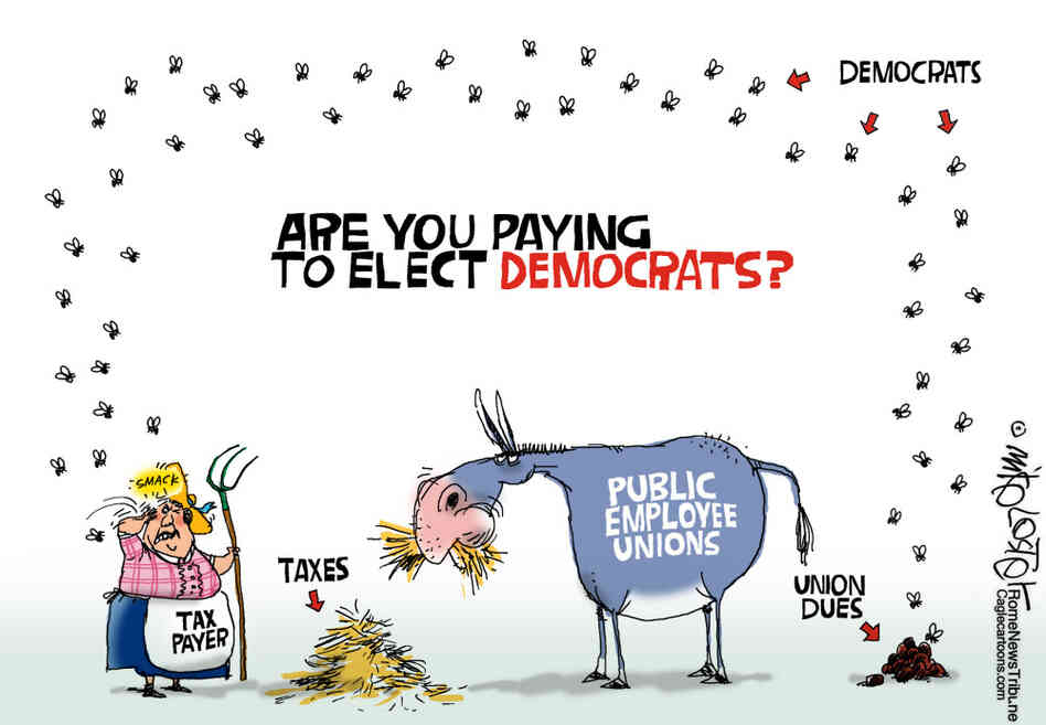 How to Elect Democrats  