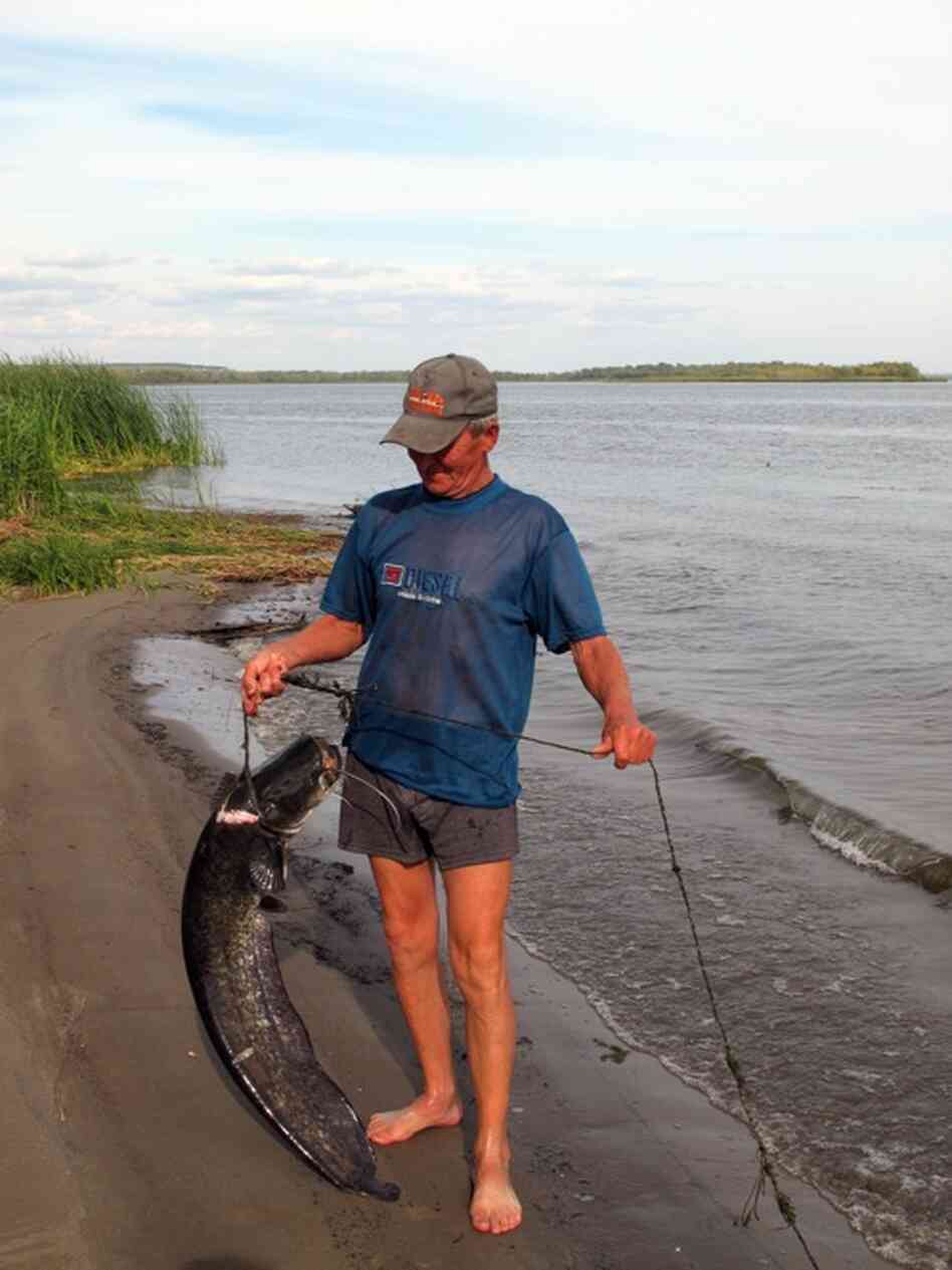 Anatolievich shows off a prize carp at his fishing camp in Usovka on the Volga.