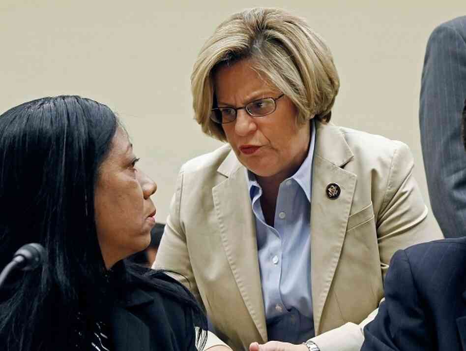New House Foreign Affairs Committee chair Rep. Ileana Ros-Lehtinen New House Foreign Affairs Committee chair Rep. Ileana Ros-Lehtinen