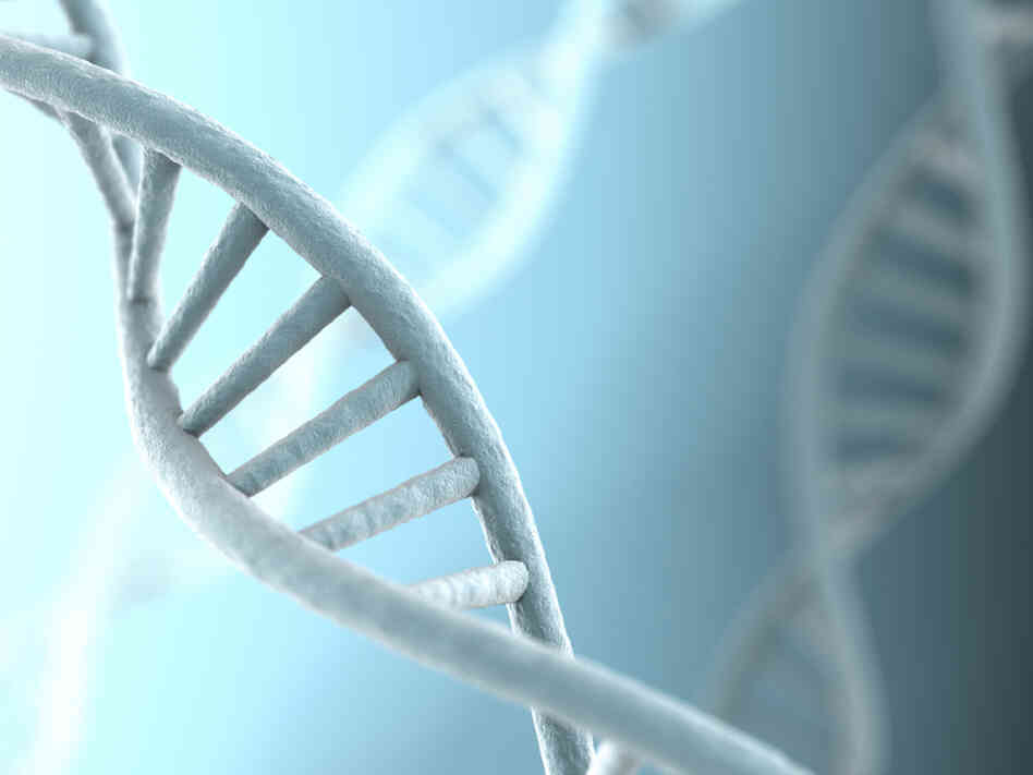 Strands of DNA Strands of DNA