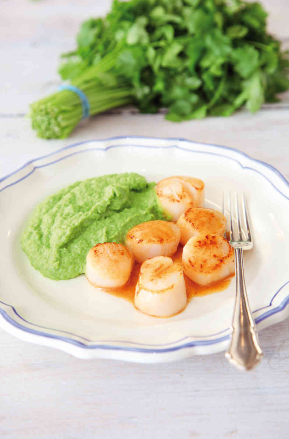 Scallops Scallops