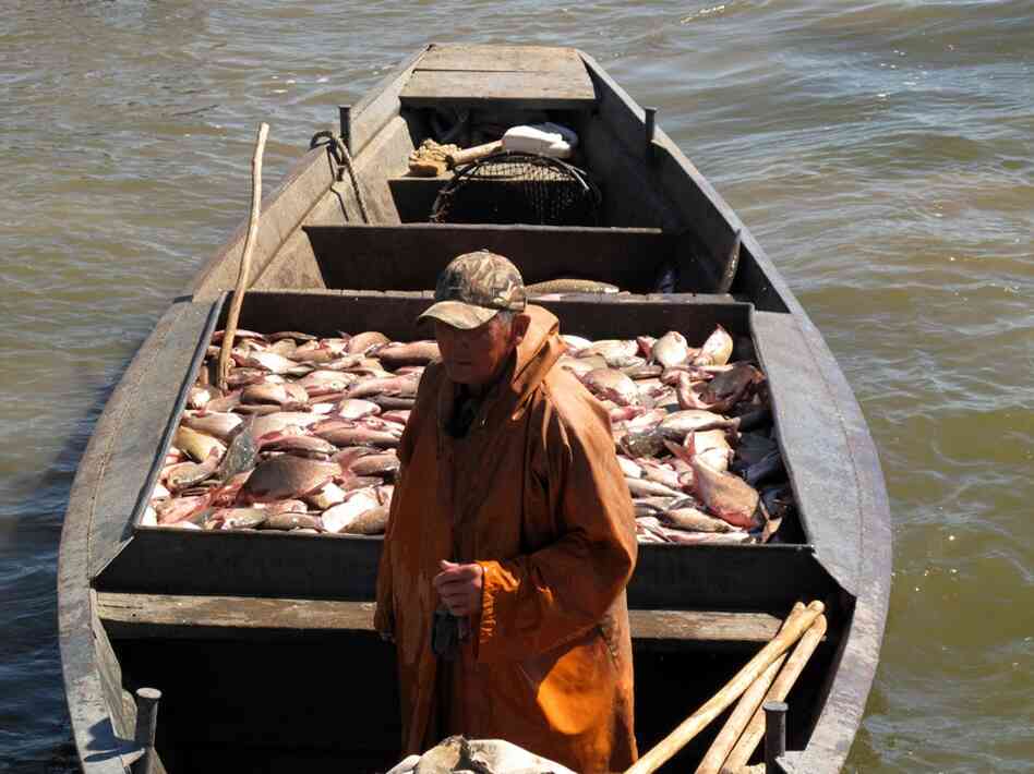 Because of overfishing, this collective is among the lucky few to retain fishing rights on the Volga.