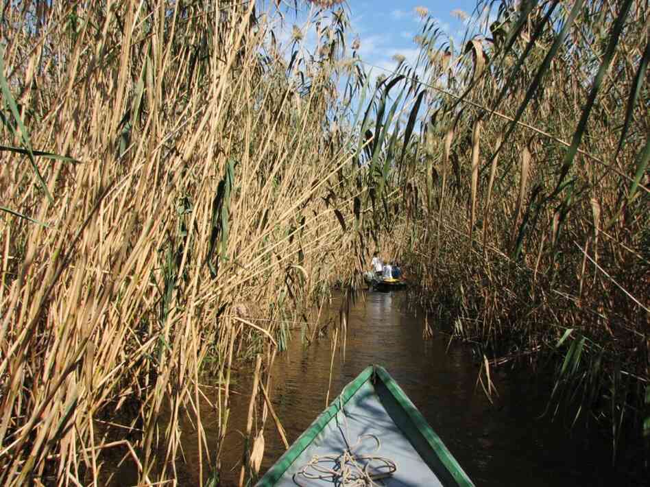 Floating through the Volga River delta as it approaches the Caspian Sea. 