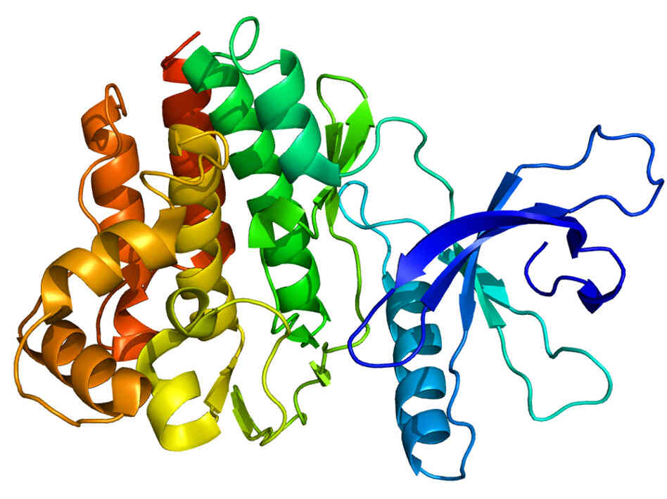 Pfizer's experimental rheumatoid arthritis drug targets the JAK3 protein Pfizer's experimental rheumatoid arthritis drug targets the JAK3 protein