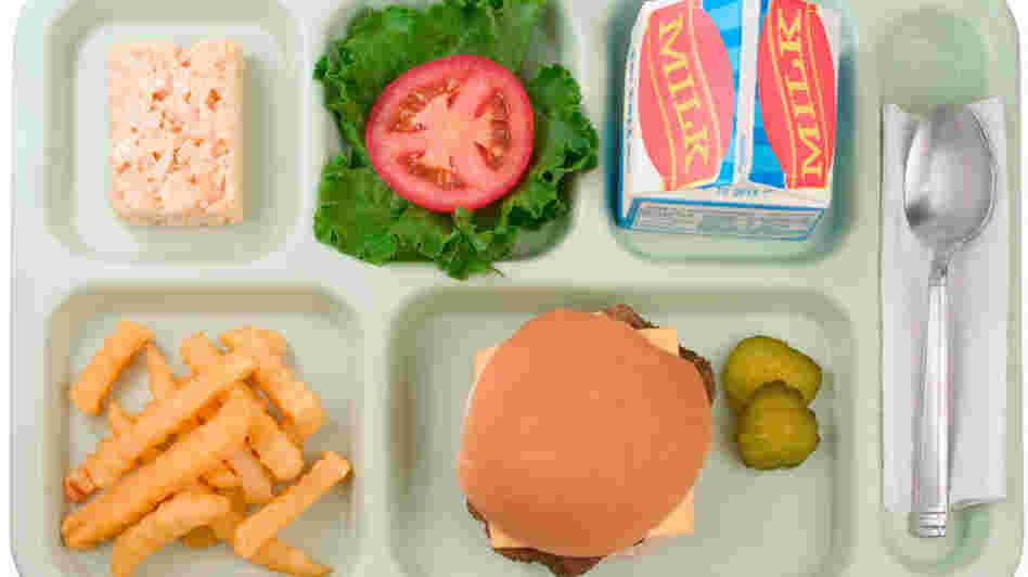 school lunch tray school lunch tray