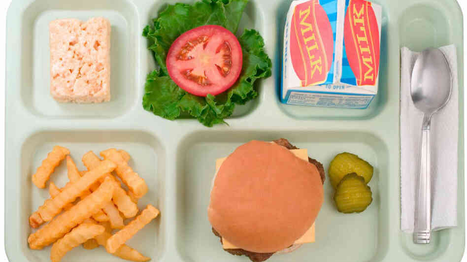 school lunch tray school lunch tray