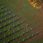 Autumn leaves gather in front of the graves of unknown soldiers.