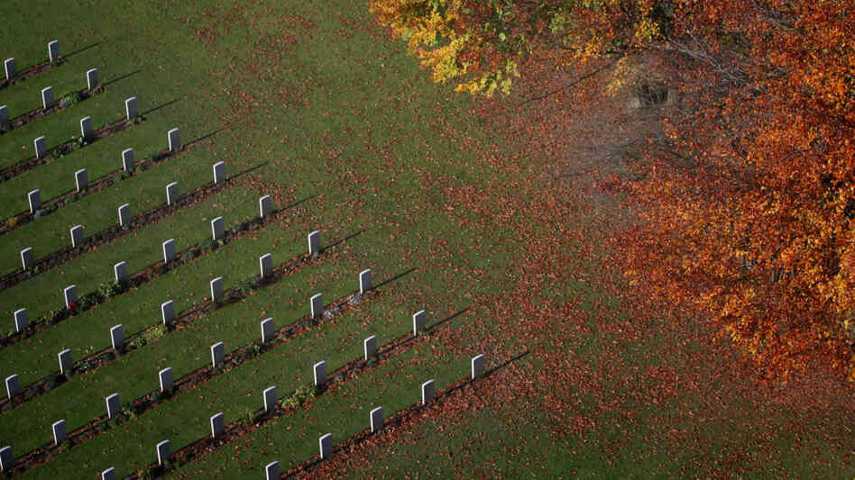 Autumn leaves gather in front of the graves of unknown soldiers. Autumn leaves gather in front of the graves of unknown soldiers.