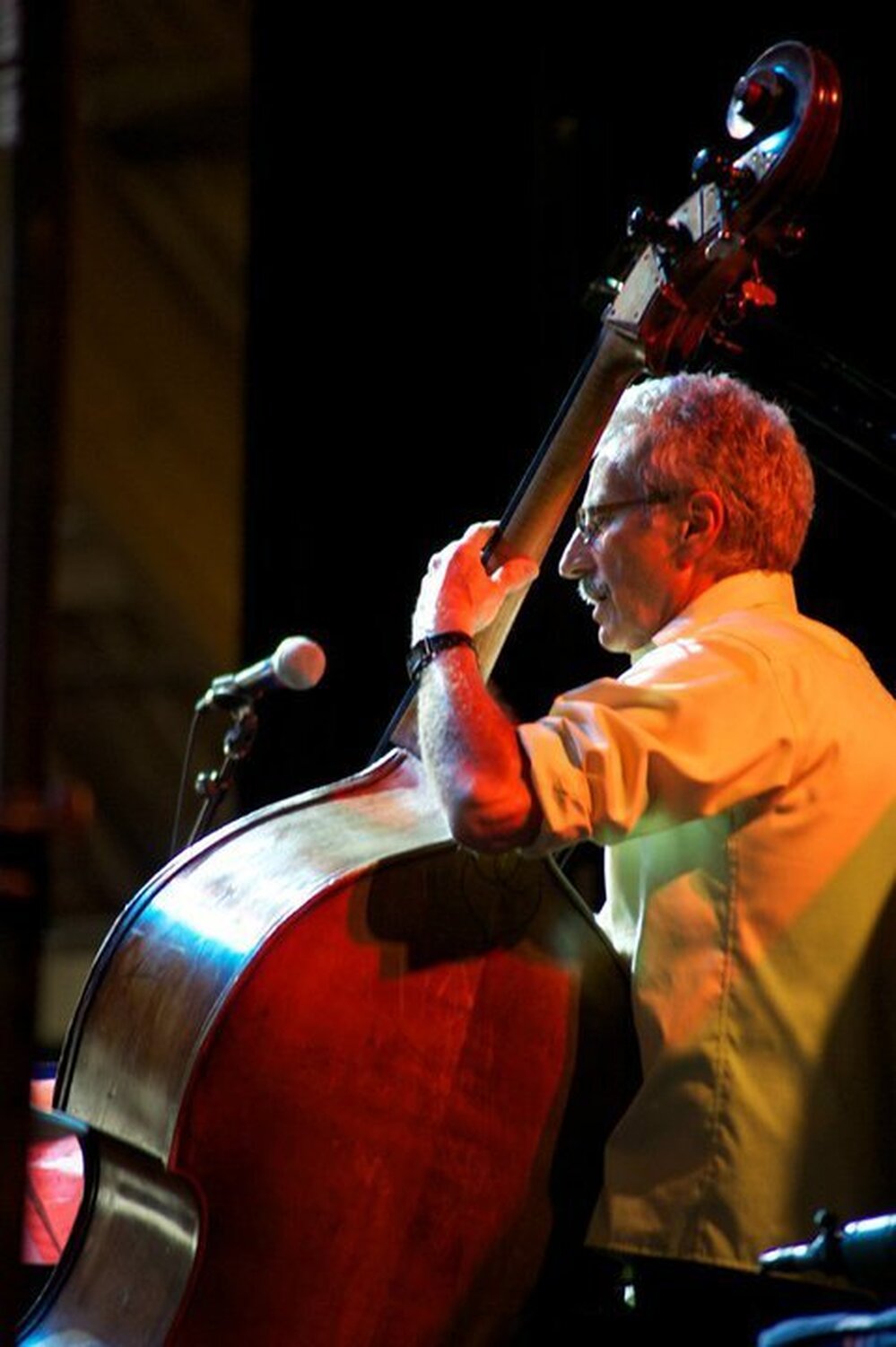 Mario Pavone performs at the 2010 Litchfield Jazz Festival.