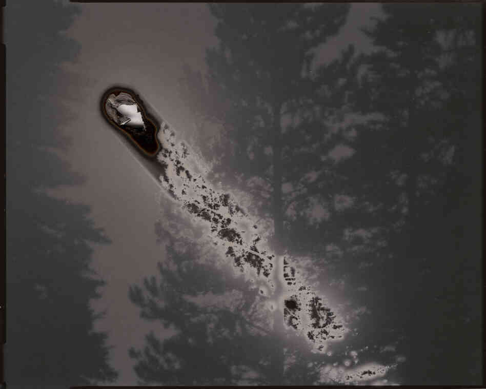 Sunburned GSP#430 (Washington), 2010. 4"x5" unique gelatin silver paper negative.